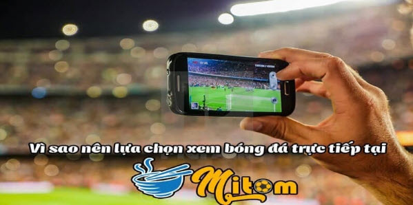 Mitom TV: Nơi kết nối người hâm mộ với thế giới bóng đá tại mitom1-tv.pro - Ảnh 2