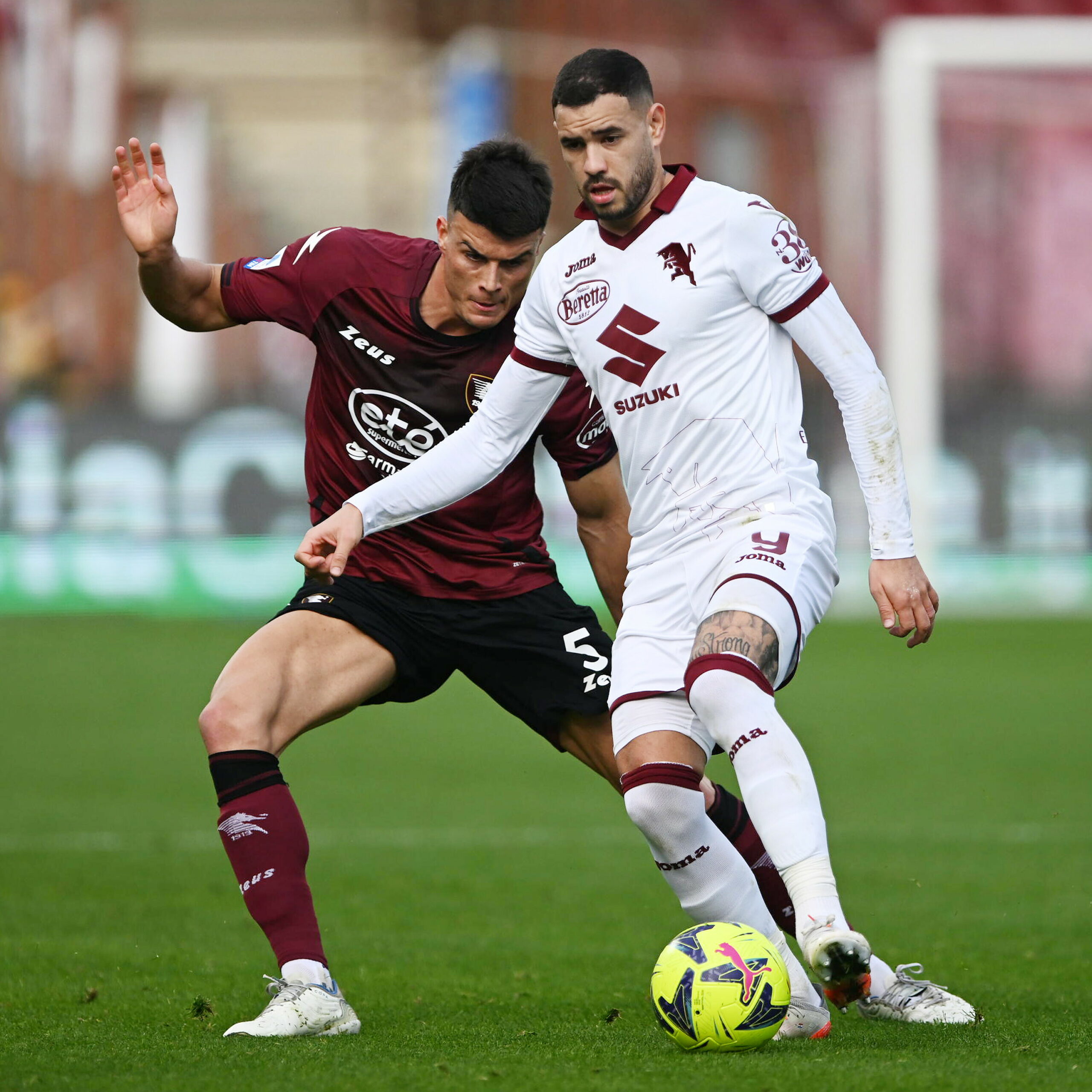 du doan ty le soi keo salernitana vs torino 23h30 ngay 18 9 2023 1 scaled - Soi kèo nhà cái KTO