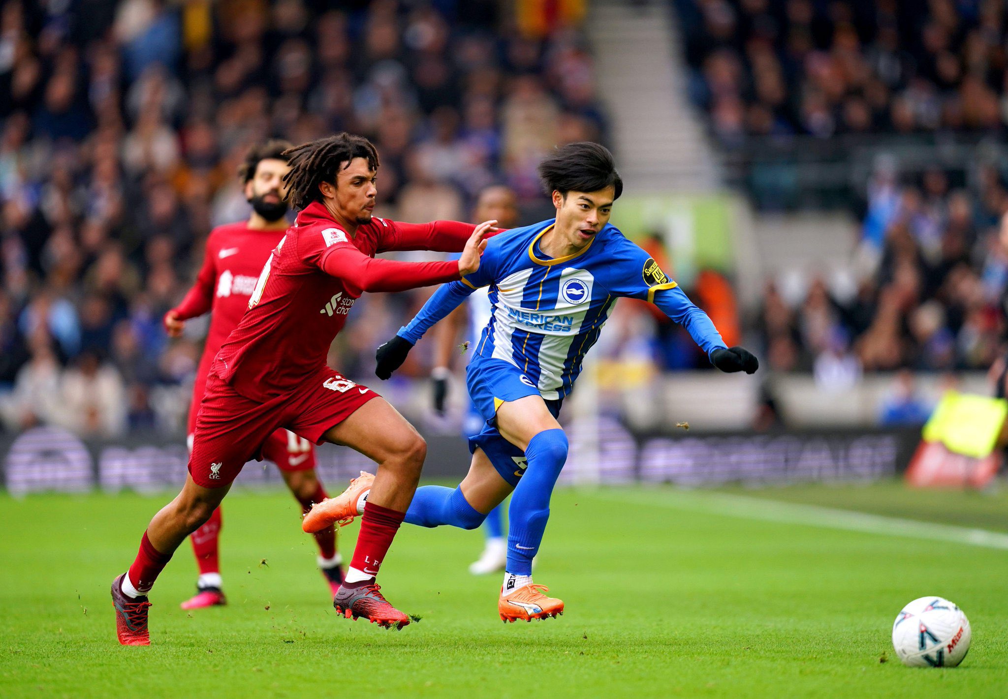 du doan ty le soi keo brighton vs liverpool 20h ngay 8 10 2023 1 - Soi kèo nhà cái KTO